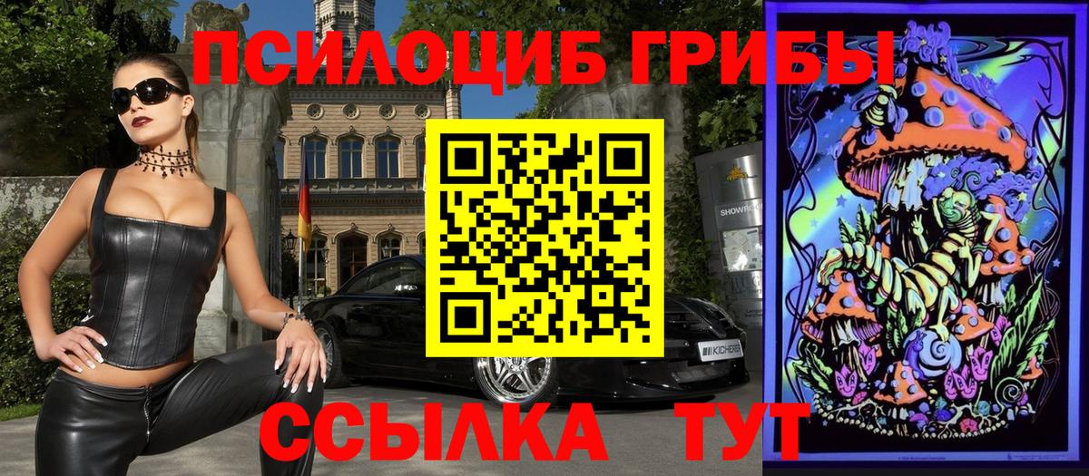 Псилоцибиновые грибы прущие грибы Ленинск-Кузнецкий