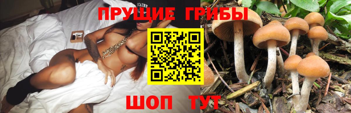 Ленинск-Кузнецкий  Галлюциногенные грибы Psilocybine cubensis  Галлюциногенные грибы Psilocybe  Вход с VPN 