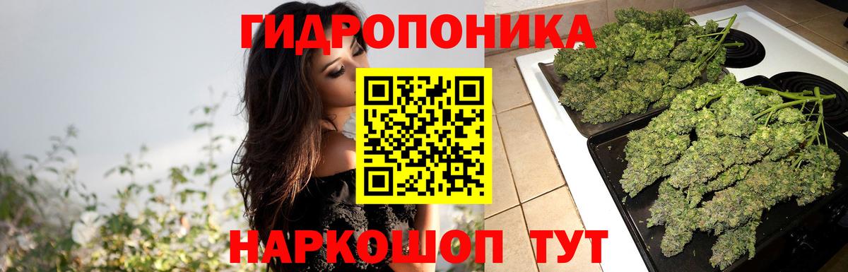 Ленинск-Кузнецкий  Бошки Шишки Bruce Banner  Бошки Шишки конопля  Вход с VPN  Канабис THC 21%  Бошки марихуана MAZAR 